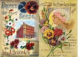 Images of Seed Company Catalogs