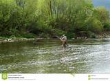Free Fly Fishing Images Photos