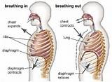 Photos of Breathing Exercises Before Singing