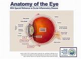 Uveitis Symptoms And Treatment Images