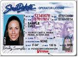 Duplicate Driver''s License Tn Pictures