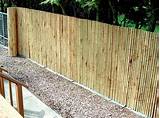 Images of Bamboo Backyard Fencing