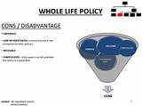 Images of Whole Life Insurance Policy Rates