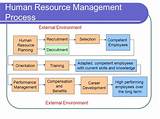Recruitment In Human Resource Management