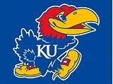 University Of Kansas Jayhawk Logo