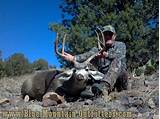 New Mexico Mule Deer Outfitters Photos