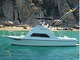 Photos of Cabo Fishing Charter