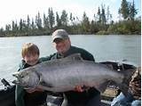 Images of Salmon Fishing In Kenai Alaska