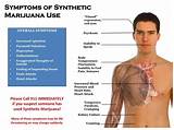 Effects Of Smoking Marijuana Pictures