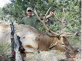New Mexico Elk Hunting Outfitters