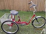 Pictures of 3 Wheel Gas Bicycle