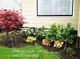 Pictures of Rustic Front Yard Landscaping