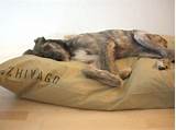 Dog Bed Covers Xxl Photos