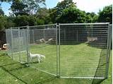 Pictures of Temporary Fencing For Dogs