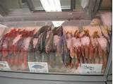 Fresh Fish Market In Orlando Pictures