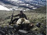 Photos of Alaska Bear Hunting Outfitters