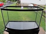 Glass Bow Front Fish Tank