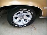 Golden Missouri Tires Pictures