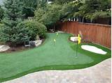 Pictures of Backyard Putting And Chipping Green