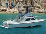 Images of Cabo Fishing Charter