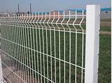 Welded Wire Fencing 4 4 Mesh Pictures