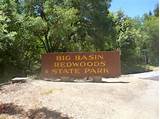 Pictures of Big Basin Park