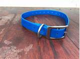 Large Stainless Steel Dog Collars Photos