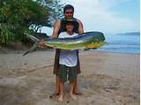 Surf Fishing Costa Rica Images