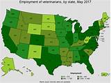 Images of Vet Radiology Salary