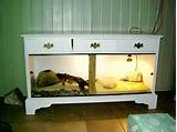 Images of Reptile Tank Shelves