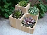 Outdoor Wood Flower Planters