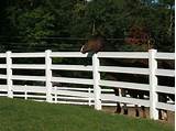 Images of Ranch Rail Vinyl Fence