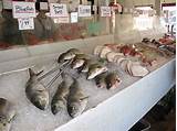 Freeport Fish Market Images