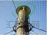 Stainless Steel Aviary Netting Pictures