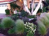 Pictures of No Lawn Front Yard Landscaping