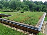 Green Roof Edging Images