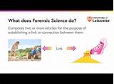 Photos of Online Courses Forensic Science