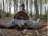 Florida Turkey Hunting Outfitters