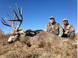Images of West Texas Mule Deer Outfitters