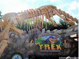 Photos of T-rex Cafe Reservations