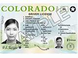 Colorado State Drivers License Pictures