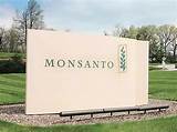 Monsanto Stock Quote