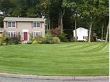 Pictures of Natural Lawn Care Services