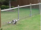 Photos of Portable Electric Dog Fences