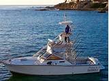 San Jose Del Cabo Fishing Charters Images
