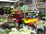 Images of Los Angeles Flower Market