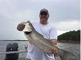 Oklahoma Lake Fishing Reports Pictures