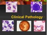 Images of Practical Clinical Pathology