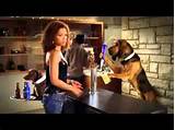 Photos of Funny Bud Light Commercial