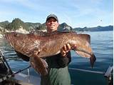 Soldotna Alaska Fishing Pictures
